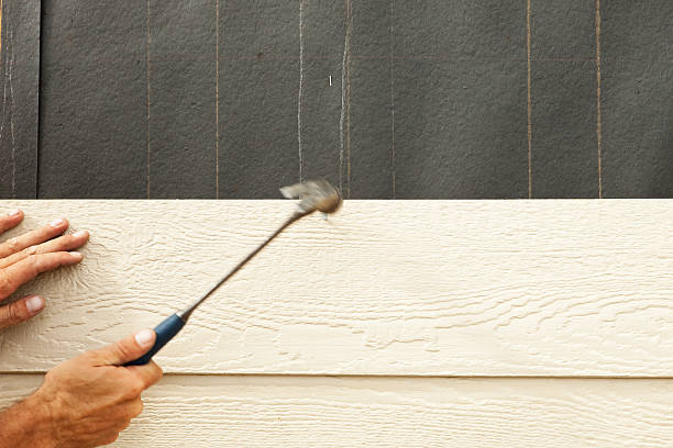 Best Stone Veneer Siding  in Payson, AZ
